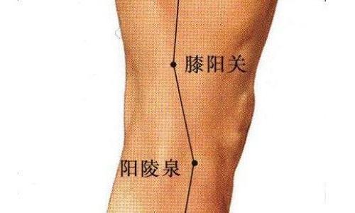 膝阳关的准确位置（膝阳关的准确位置图）