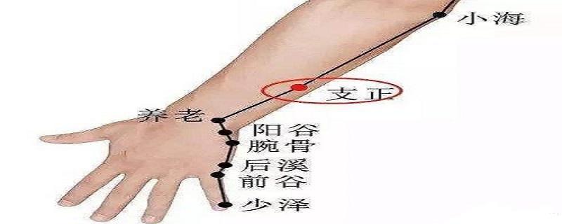 支正的作用（支正的功效）