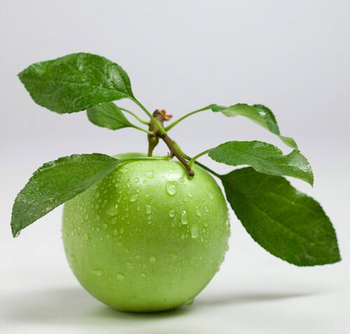 酸奶苹果减肥的危害 吃苹果酸奶减肥有效吗