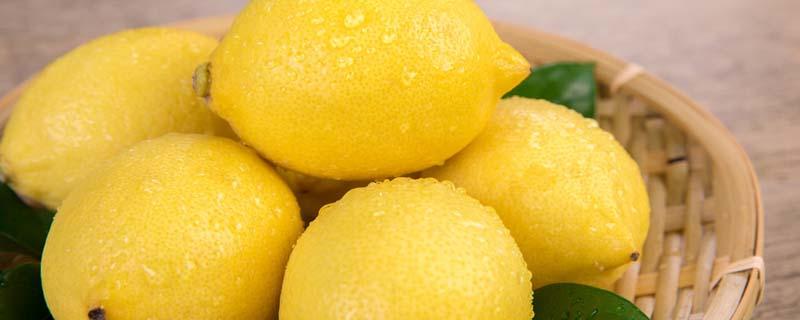 柠檬枸杞泡水的禁忌 柠檬泡水可以放枸杞子吗