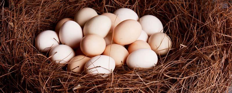 乌鸡蛋和土鸡蛋哪个更有营养 土鸡蛋和乌鸡蛋哪个营养价值高