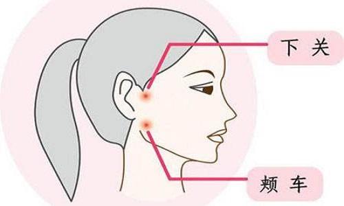 颊车的准确位置图（颊车的准确位置图图解）