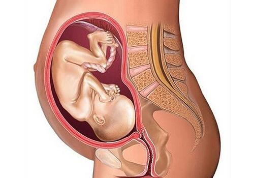 孕妇补钙会不会导致胎盘老化 孕期补钙会不会导致胎盘老化