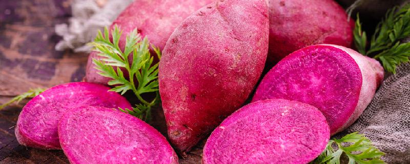 生的紫薯怎么保存不容易坏 熟的紫薯怎么保存
