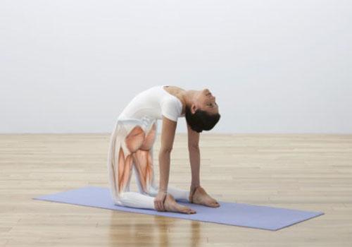 丰胸瑜伽的基本动作 丰胸的瑜伽动作有哪些