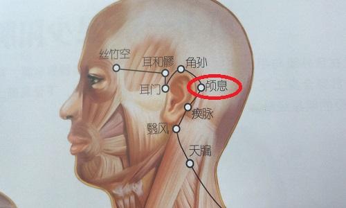 颅息的准确位置图（颅息的准确位置和作用）