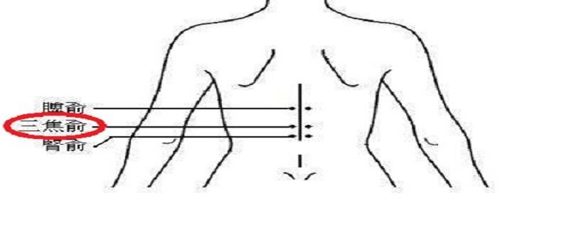 三焦俞的准确位置图 三焦俞的准确位置图和作用简单方法