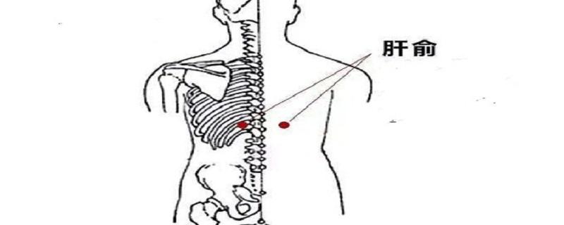 艾灸肝俞的功效 针灸肝俞的作用