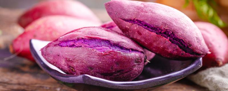 紫薯蒸多久可以熟 蒸紫薯要切开吗