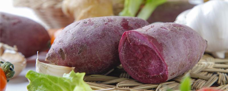 紫薯有点苦怎么回事 紫薯有点苦吃了中毒吗