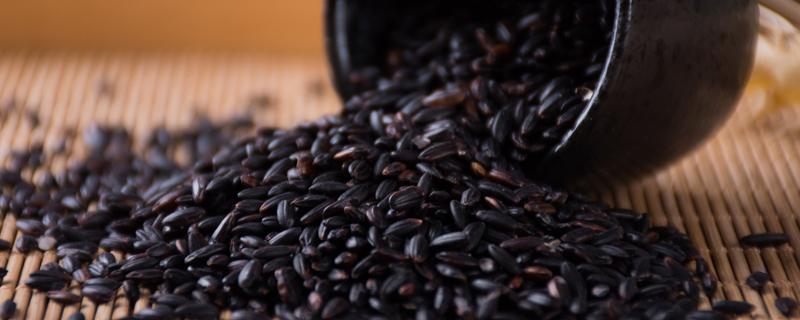 黑米和紫米哪个更补血 黑米和紫米哪个好消化