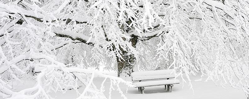 大雪节气会下雪吗（大雪节气会下雪吗吗）