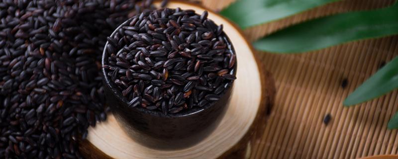 黑米和紫米有什么区别 黑米紫米可以一起吃吗