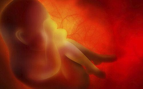 胎儿宫内发育迟缓 胎儿宫内发育迟缓的治疗原则,正确的是