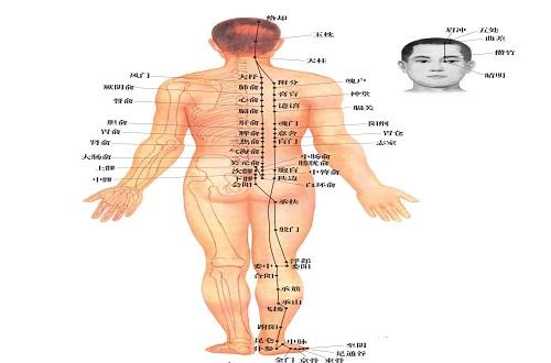 足太阳膀胱经的作用（足太阳膀胱经的作用视频）