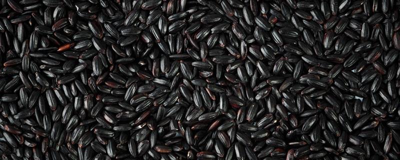 五类人不宜吃黑米 可以长期吃黑米吗