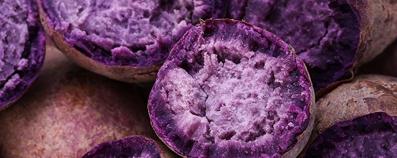 紫薯不适合吃的人群 紫薯吃了会发胖吗
