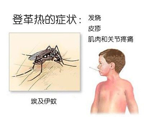 登革热有什么症状 登革热有啥症状