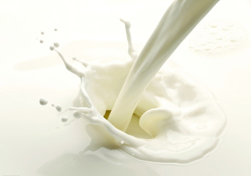 胆囊炎可以喝牛奶吗 急性胆囊炎可以喝牛奶吗