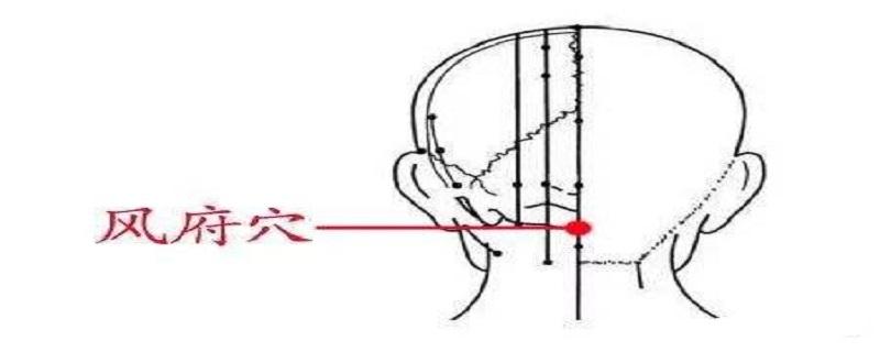 风府是什么经络（风府所属经络）