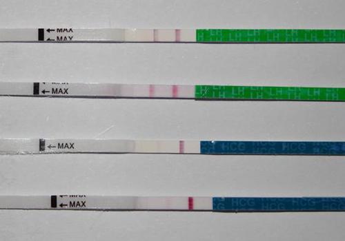 验孕试纸两条杠会不会有错 什么情况下验孕试纸会误测两条杠