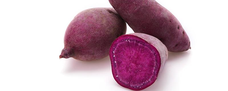 紫薯为何不能当晚饭吃 晚上不吃晚饭只吃紫薯会瘦吗