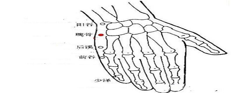 前谷的作用是什么 前谷是哪个部位图片