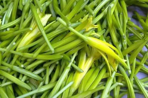 黄花菜的营养价值 黄花菜的营养价值及营养成分