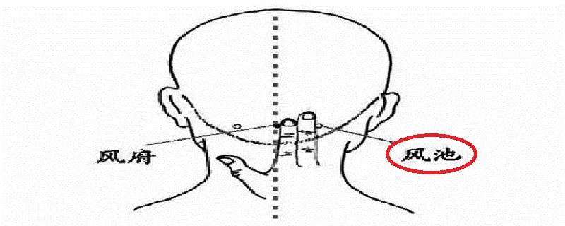 风池怎么找最简便 风池的准确位置图怎么找