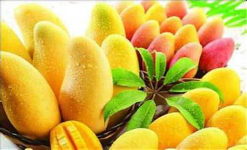 吃芒果过敏怎么办 吃芒果过敏怎么办?