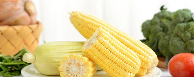 玉米一天可以吃几根 吃玉米的最佳时间