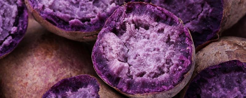 一天三顿都吃紫薯会不会发胖 紫薯可以烤着吃吗