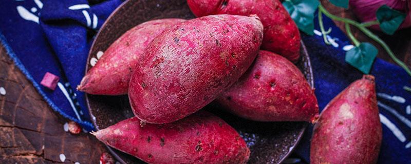 紫薯是转基因吗 紫薯吃多了好吗