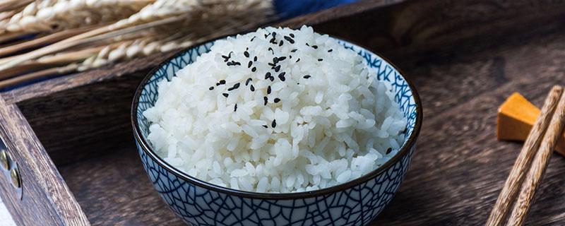 米饭真的会导致发胖吗 米饭真的会导致发胖吗知乎