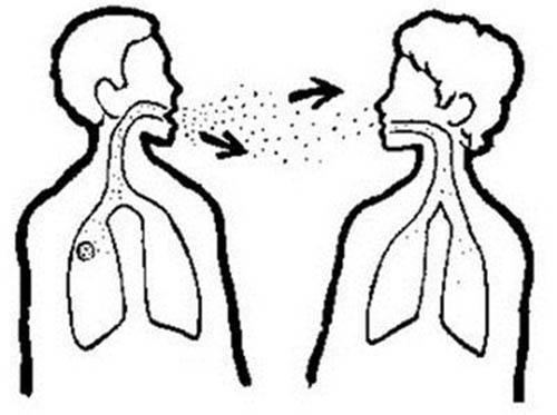 肺结核的传播途径 肺结核的传播途径及预防措施