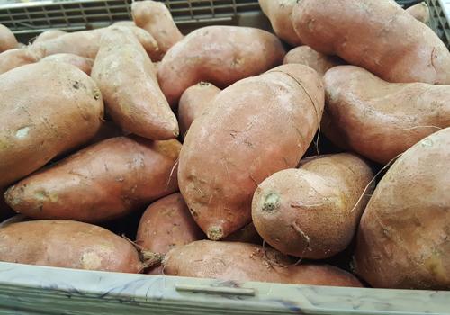 红薯怎么吃减肥效果最好 红薯怎么吃减肥效果最好吃