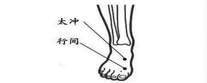 太冲行间准确位置图和作用 太冲行间的准确位置图片