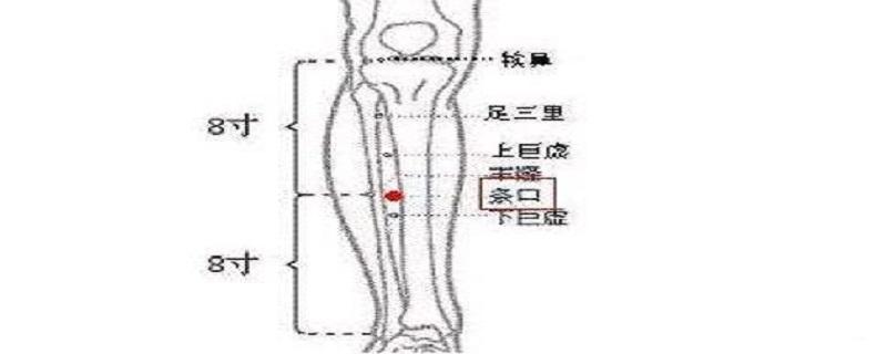 条口的意思是什么 条口什么意思是什么