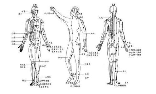 十二经络运行时间（十二经络运行时间养生）
