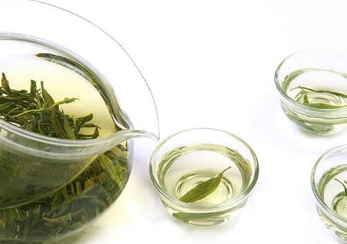 枸杞芽茶的价格芽茶的功效与作用 枸杞芽茶的营养价值