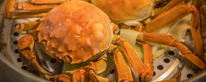 大闸蟹吃不完怎么保存 新鲜的大闸蟹吃不完怎么保存