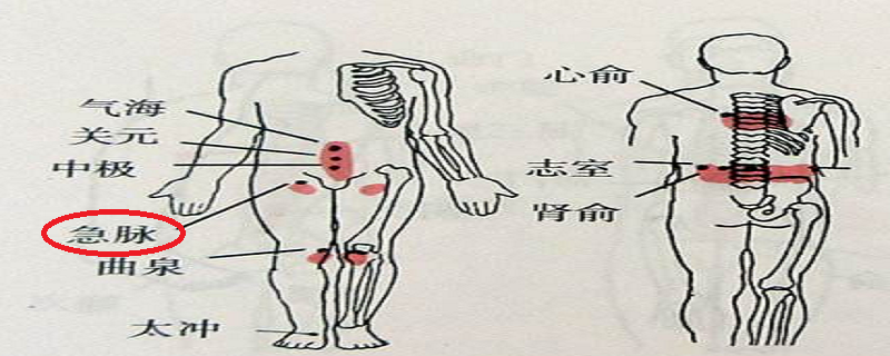 急脉的位置图片（急脉在什么位置）