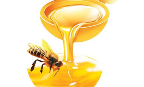 哪些人不能吃蜂蜜（哪些人不能吃蜂蜜为什么?）