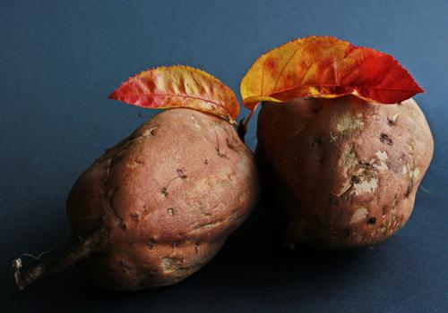 红薯吃了能减肥吗（红薯吃可以减肥吗）