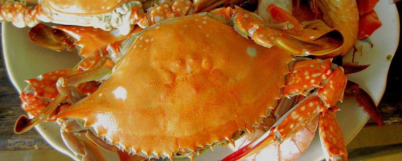 螃蟹吃不完怎么保存 蒸熟螃蟹吃不完怎么保存