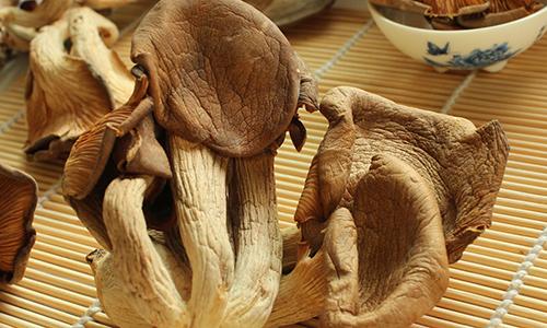 鲍鱼菇的营养价值 鲍鱼菇的营养价值和功效