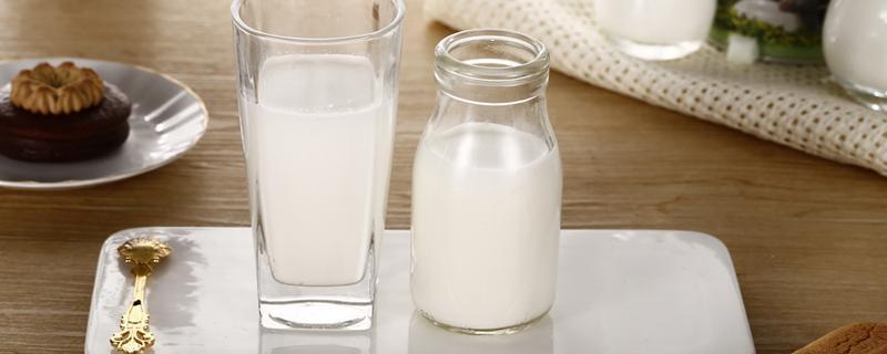 喝骆驼奶粉的功效与作用 喝骆驼奶粉有哪些作用和功效