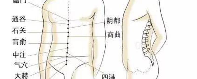 冲脉的准确走向位置图（冲脉的准确走向位置图视频）