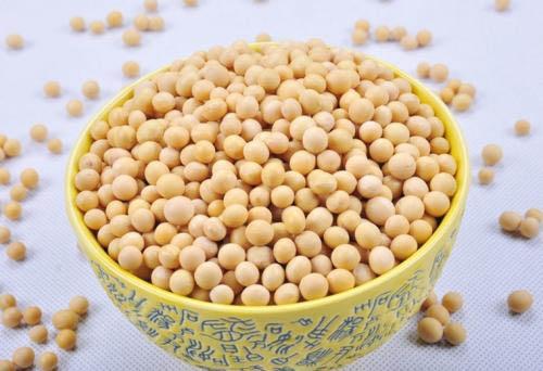 市面上的黄豆粉有营养吗 黄豆粉的营养价值