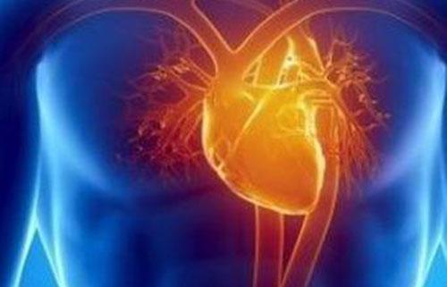 心火旺和肝火旺的区别 心火旺和肝火旺的区别是什么